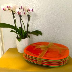 Set of 8 Melamine plates green and orange